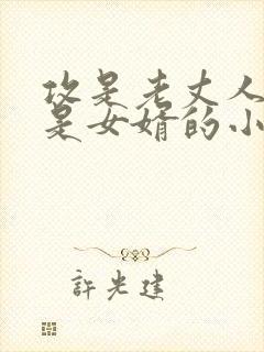 攻是老丈人,受是女婿的小说生子文封面