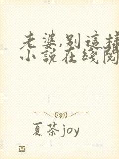 老婆,别这样 小说在线阅读