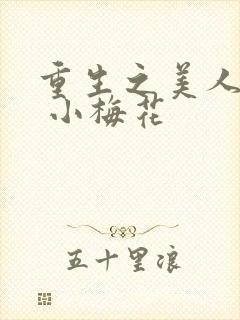 重生之美人君事 小梅花