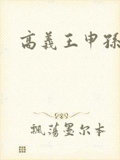 高义王申孙倩