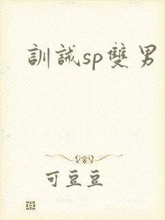 训诫sp双男主封面