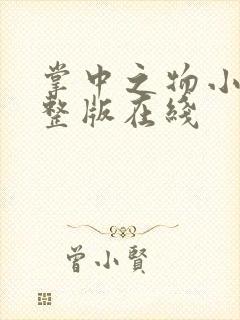 掌中之物小说完整版在线