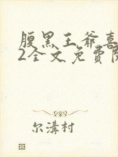 腹黑王爷喜当爹2全文免费阅读封面