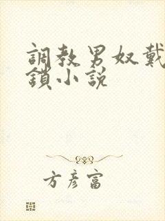 调教男奴戴贞洁锁小说封面