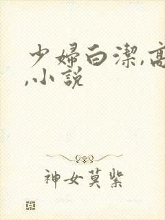少妇白洁,高义,小说封面