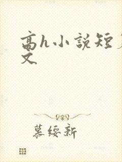 高h小说短篇辣文