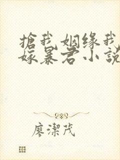 抢我姻缘我转身嫁暴君小说