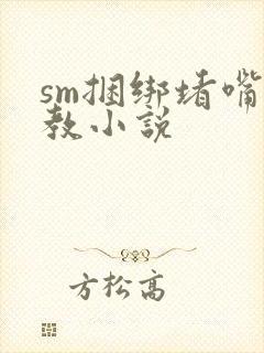 sm捆绑堵嘴调教小说封面