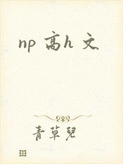 np 高h 文封面