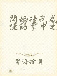闪婚后我成了大佬的掌中之物啊