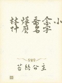 林烨乔念小说叫什么名字封面