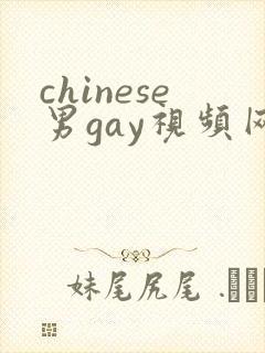 chinese男gay视频网站