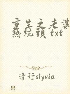 重生之老婆孩子热炕头 txt