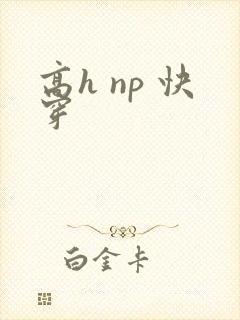 高h np 快穿