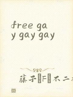 free gay gay gay封面