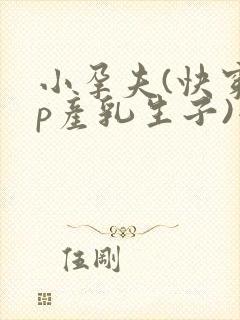 小孕夫(快穿np产乳生子)小说封面