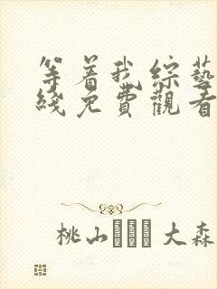 等着我综艺 在线免费观看