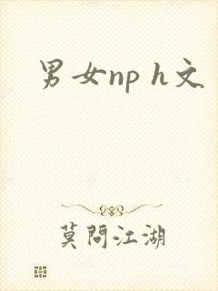 男女np h文