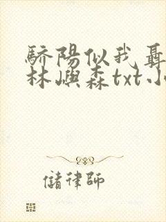骄阳似我聂曦光林屿森txt小说下载