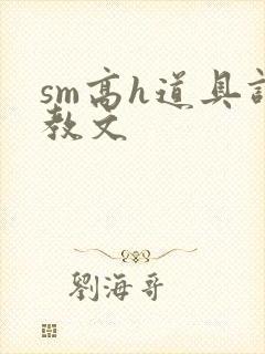 sm高h道具调教文