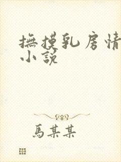抚摸乳房情节的小说