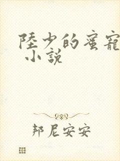 陆少的蜜宠甜妻 小说封面