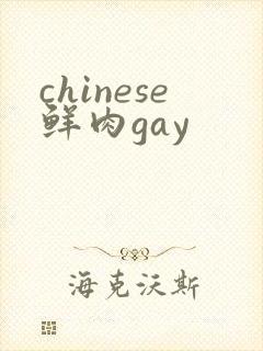 chinese鲜肉gay