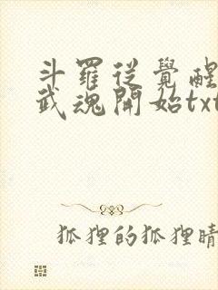斗罗从觉醒朱雀武魂开始txt下载封面