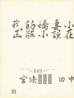 我的娇妻小欣儿正版小说在线阅读