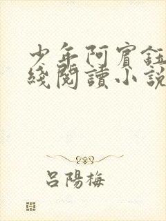 少年阿宾钰慧在线阅读小说txt