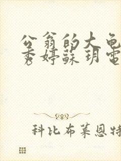 公翁的大龟挺进秀婷苏玥电影封面