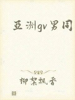 亚洲gv男同