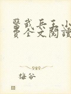 医武兵王小说免费全文阅读一
