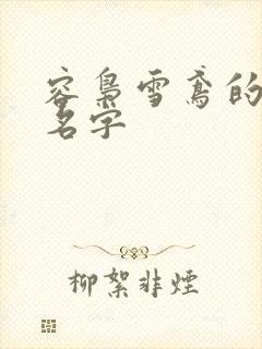容枭雪鸢的小说名字