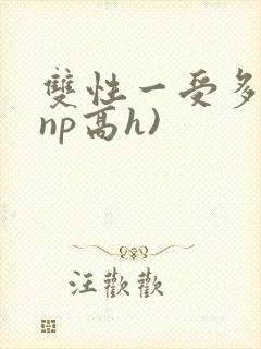 双性一受多攻(np高h)
