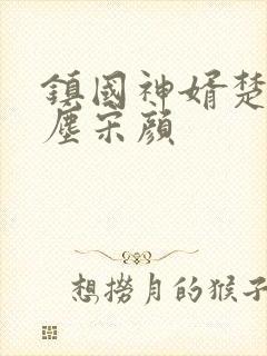 镇国神婿楚尘楚尘宋颜