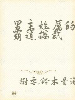 男主姓厉的小说霸道总裁