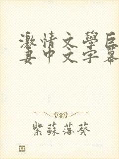 激情文学巨乳人妻中文字幕封面