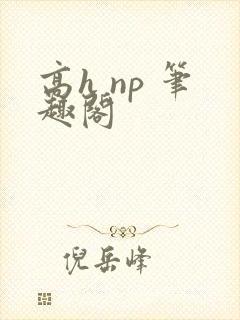 高h np 笔趣阁封面