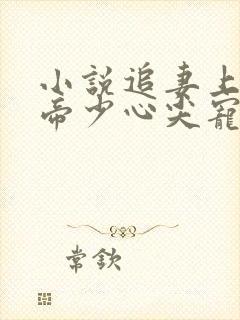 小说追妻上瘾,帝少心尖宠免费看封面