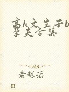 高h文生子bl孕夫合集