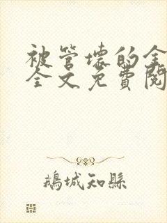 被管坏的金丝雀全文免费阅读笔趣阁