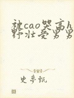 被cao哭高h野壮受男男小说