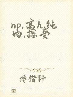 np,高h,纯肉,总受