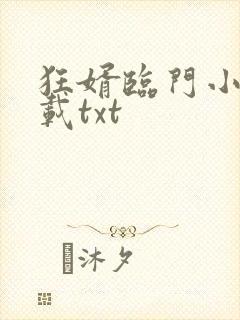狂婿临门小说下载txt
