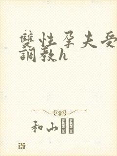 双性孕夫受玉势调教h