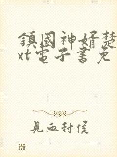 镇国神婿楚尘txt电子书免费下载封面
