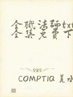 全职法师txt全集免费下载