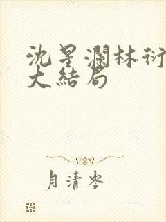 沈星澜林衍小说大结局