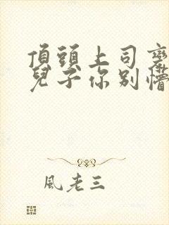 顶头上司变后妈儿子你别懵大结局封面